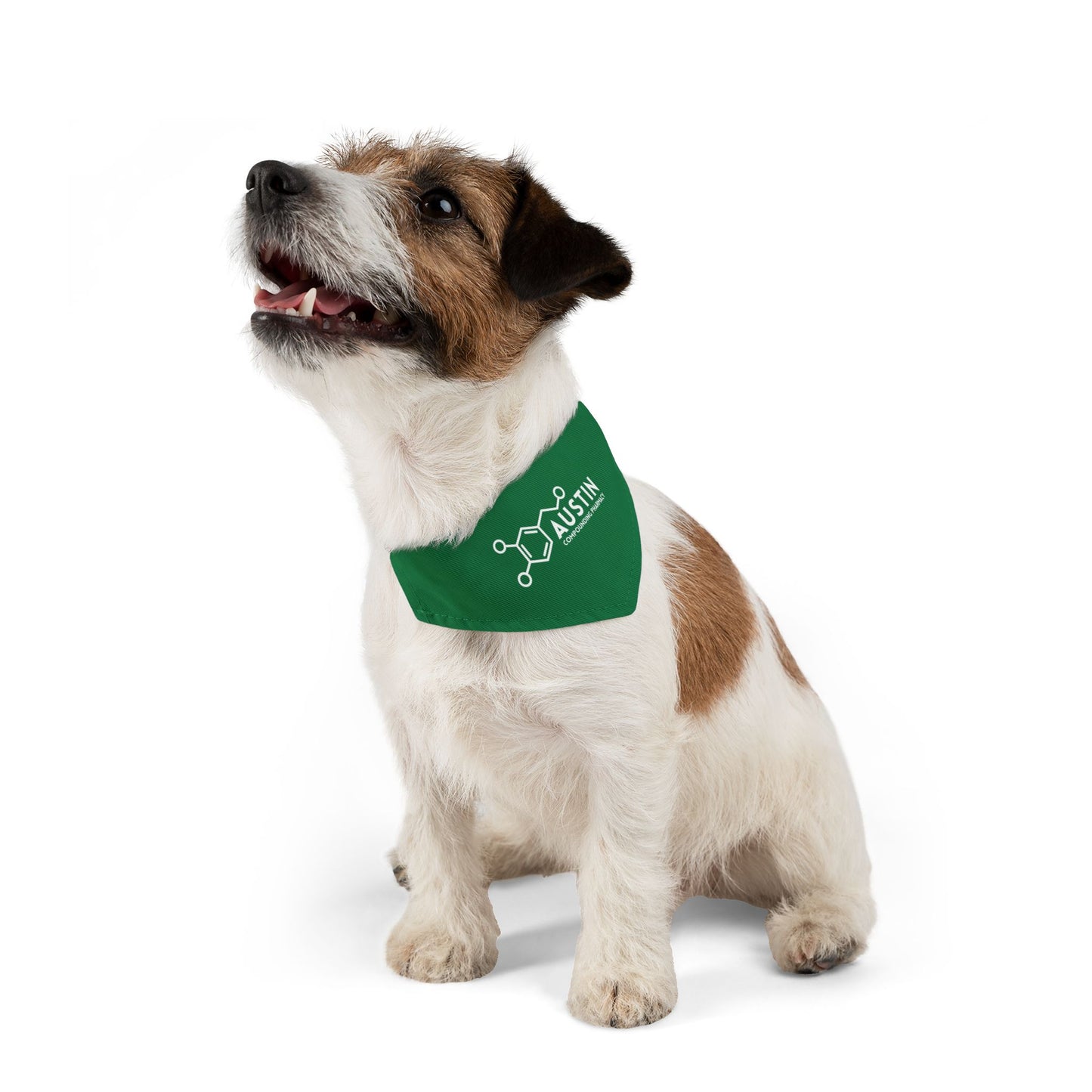 Pet Bandana Collar - Animal Health
