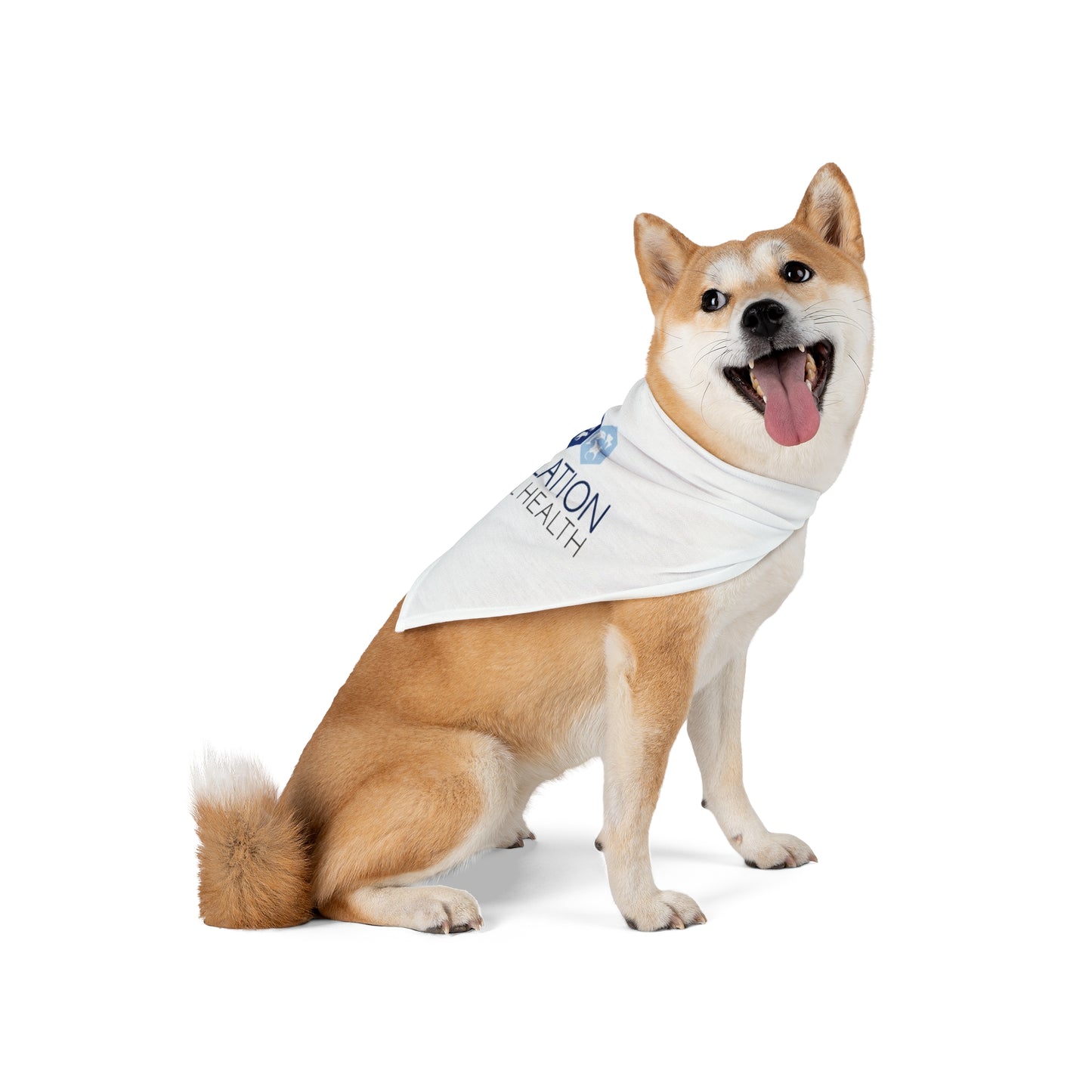 Pet Bandana - Animal Health