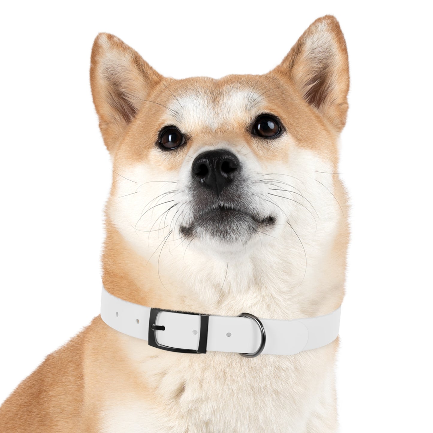Pet Collar - Animal Health