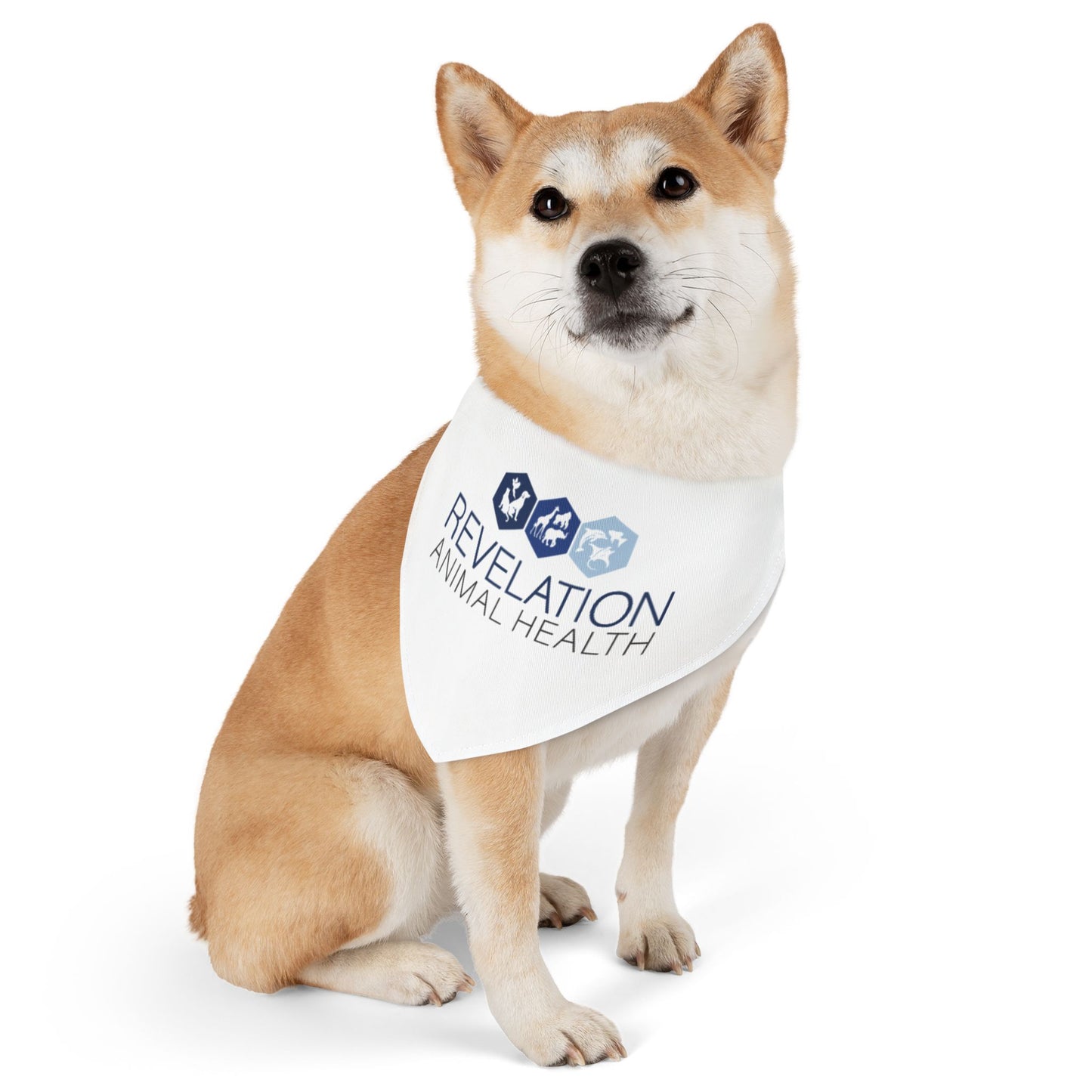 Pet Bandana Collar - Animal Health