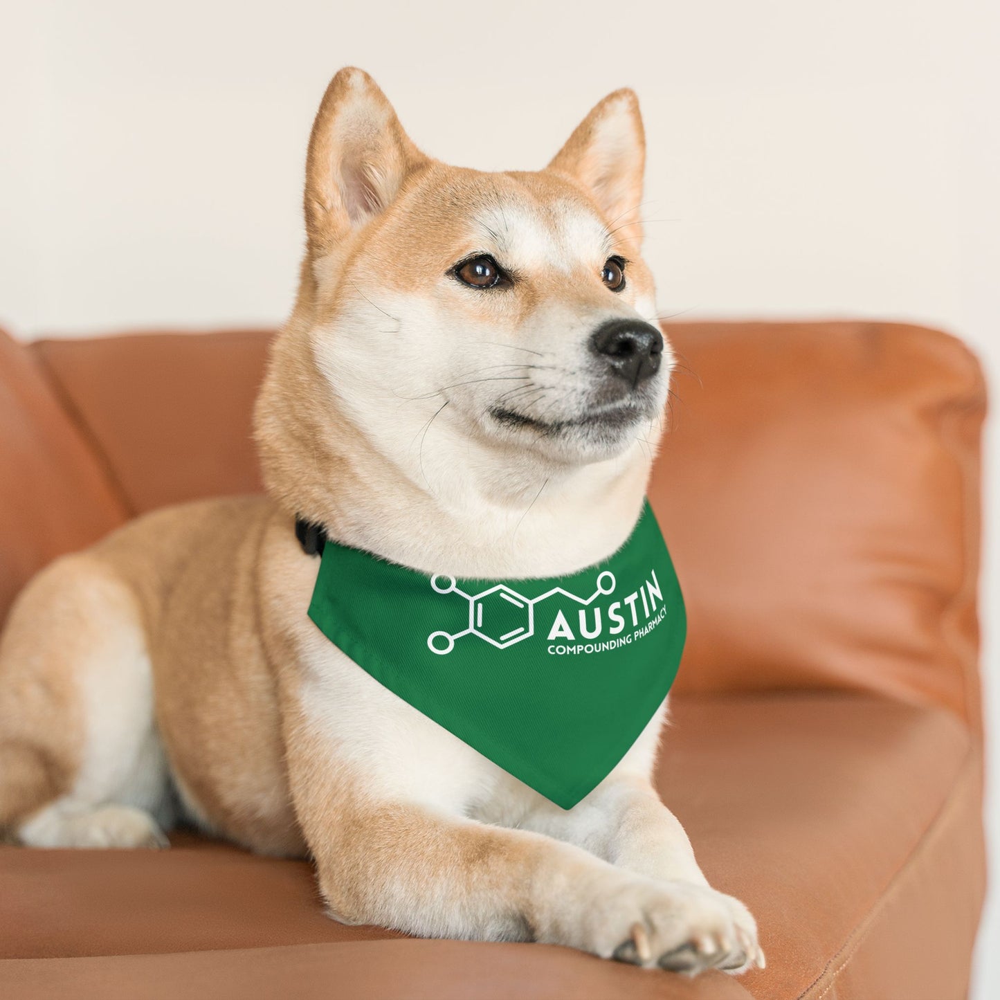 Pet Bandana Collar - Animal Health
