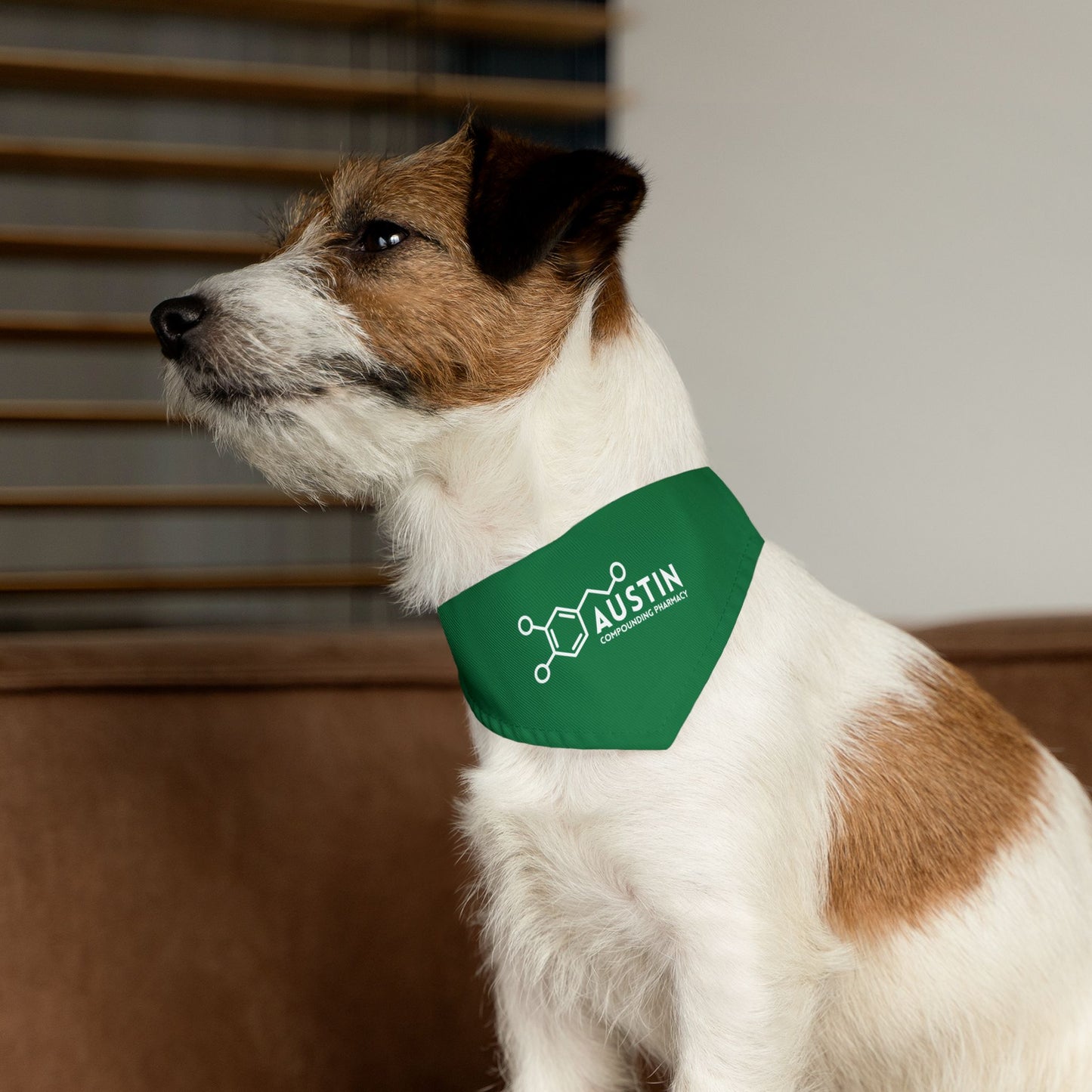 Pet Bandana Collar - Animal Health