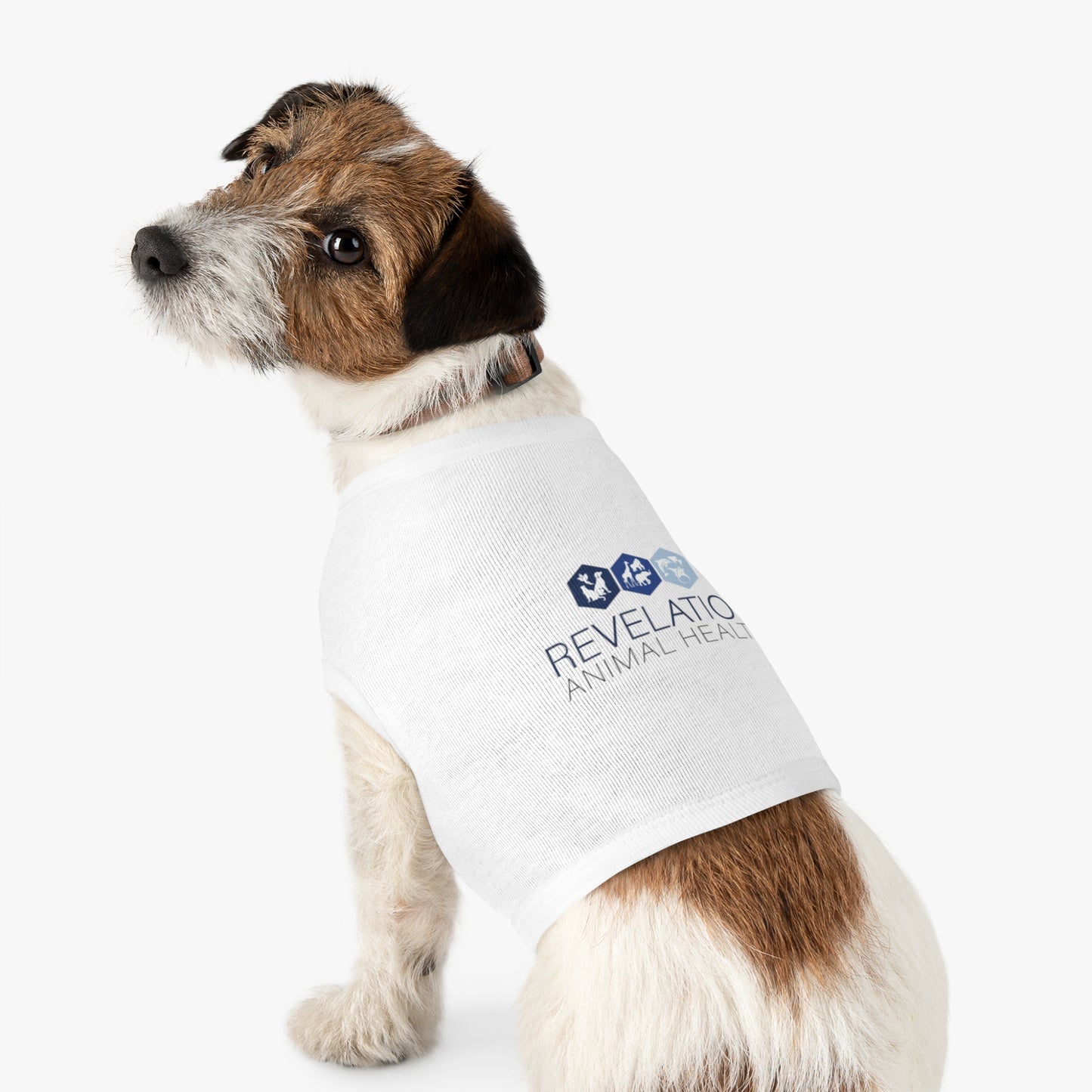 Pet Tank Top - Animal Health