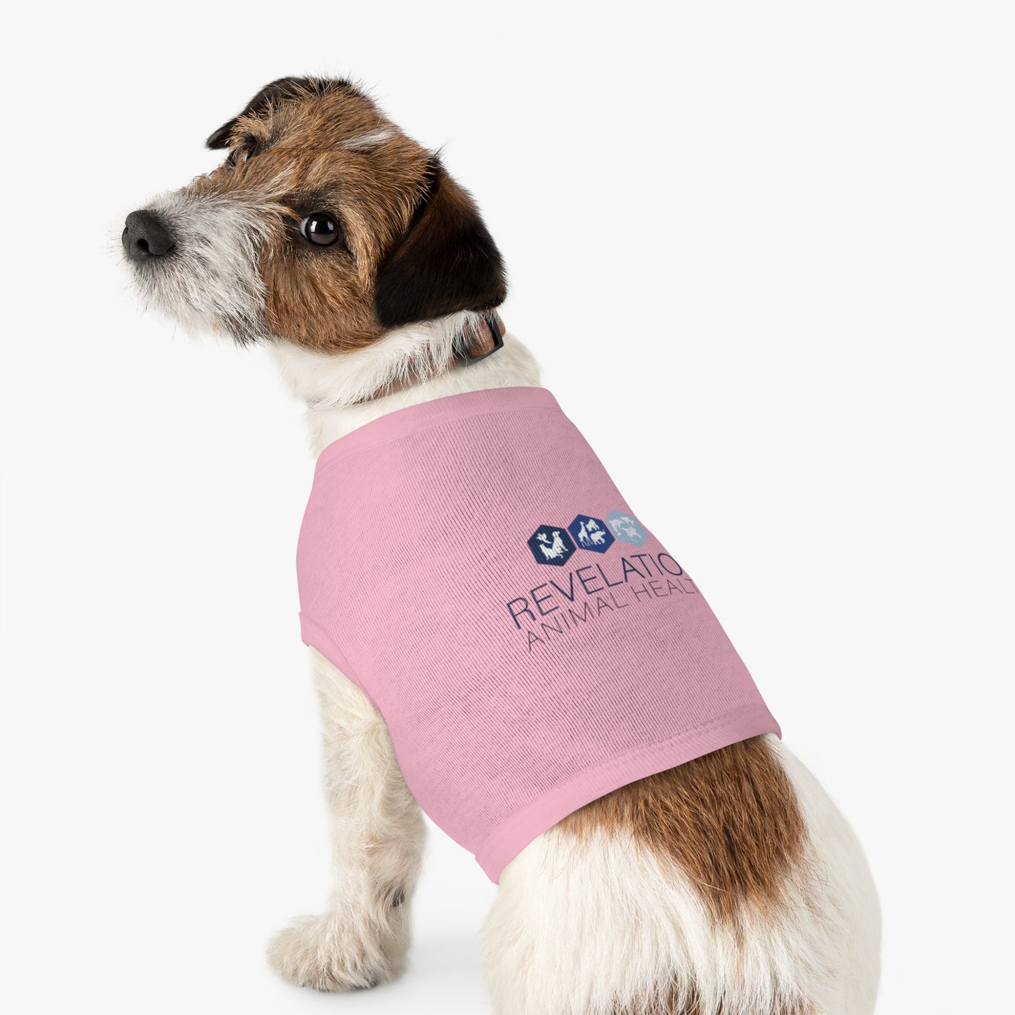 Pet Tank Top - Animal Health